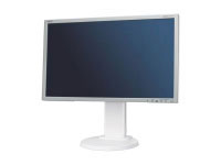 Nec E201W (60002818)